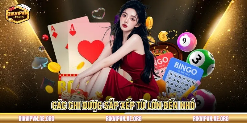 Các chi được sắp xếp từ lớn đến nhỏ